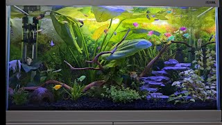 AKWARIUM AQUARIUM AQUAEL 125L OPTI SET [upl. by Kinny]