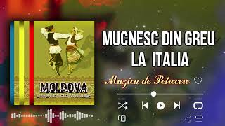 🎵 Mucnesc din greu la Italia   Muzica Moldoveneasca 🎹🎼 [upl. by Weisburgh]