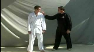 Body Mechanics for Tai Chi HsingI and Bagua  Part 1 [upl. by Eart]