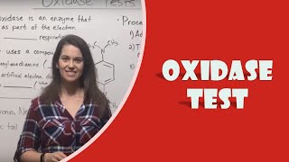 Oxidase Test [upl. by Boehike]