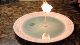 7 Simple Science Tricks With Household Items [upl. by Carola]