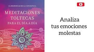 DESPARACITACION ENERGETICA Meditación 13 Los 4 acuerdos Toltecas Analiza tus emociones [upl. by Menell]