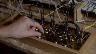 Folktek Resonant Garden  video 3 of 8 [upl. by Akinert28]