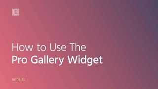 How to Use The Pro Gallery Widget in Elementor [upl. by Mehelhteb]