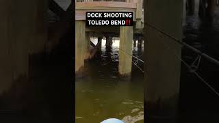 DOCK SHOOTING for CRAPPIE on TOLEDO BEND‼️ wwwyoutubecomcBarFlyFishing [upl. by Noired]