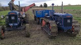 fordson E27N P6 and county crawler taking fodder beet up with catchpole [upl. by Neelak908]