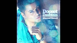 Masoud Saeedi  quotDooset Dashtamquot AUDIO [upl. by Zertnom930]