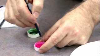 How To Paint Embossed Designs  Global Sugar Art [upl. by Tavy313]