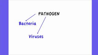 631 Define Pathogen [upl. by Margot]