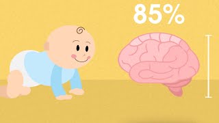 How DHA Benefits Your Child’s Brain Growth  What is DHA  Enfamil A Canada [upl. by Conrad]