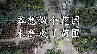 本想做个花园，未成想做了一个苗圃 [upl. by Notxap212]