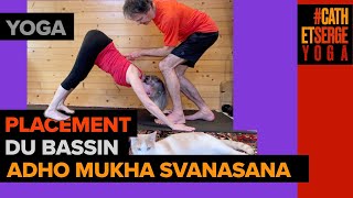 YOGA  ADHO MUKHA SVANASANA LE CHIEN TÊTE EN BAS PLACEMENT DU BASSIN [upl. by Kipper119]