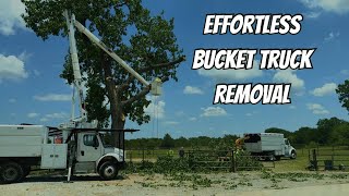 Cottonwood Tree Removal FASTEST Way With Bucket Truck [upl. by Noiro]