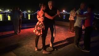 Milonga miauw Juan DArienzo  Linkeroever Antwerpen 2182024 [upl. by Larrabee692]