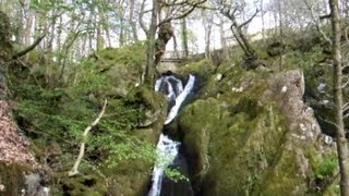 Lake District Walks Stock Ghyll Falls Ambleside [upl. by Irej390]