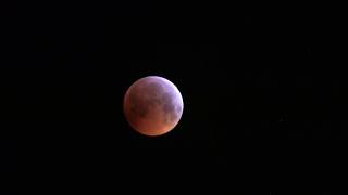 Total Lunar Eclipse  Totale Mondfinsternis 2019 [upl. by Aritak]