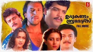 Uppukandam Brothers Malayalam Full Movie  Babu Antony  Jagadeesh  Geetha  T S Suresh Babu [upl. by Nadya939]