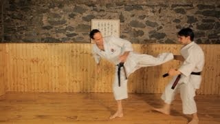 How to Do Side Kicks  Karate Lessons [upl. by Ennayrb]