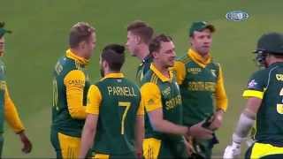 Highlights Smith ton guides Aussies home [upl. by Thorncombe372]