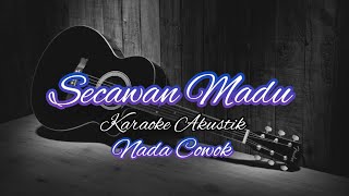 Secawan Madu Karaoke Akustik  Nada Cowok  Pria [upl. by Eilojne]