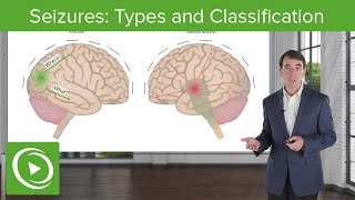 Seizures Types and Classification  Clinical Neurology [upl. by Ajan]