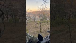 First Deer  Crossbow 🦌 deerhunting bucks deer vortex wildlife [upl. by Garrity149]