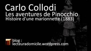 Les aventures de Pinocchio  Carlo Collodi  24 [upl. by Inasah]