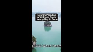 Natures Paradise in Vietnam From Halong Bay to Sapa [upl. by Lupe]