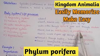 Phylum Porifera Characters And Classification Fully Explain In Hindi Urdu [upl. by Bart]