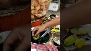 Kolkatas Best Chole Wale Panipuri Golgappa Fuchka shorts streetfood [upl. by Eirallam188]