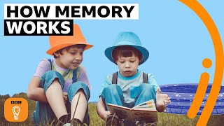 Why your first memory is probably wrong  BBC Ideas [upl. by Adela290]