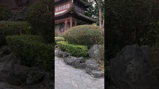 Kowloon Walled City Garden 2 Hong Kong Shorts garden kowloonfortress [upl. by Leihcar]