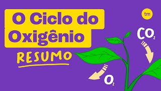 CICLO DO OXIGÊNIO  Entenda em poucos minutos [upl. by Araet685]