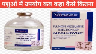 Inj megludyne uses in veterinary in hindi  Flunixin meglumine [upl. by Sucerdor914]