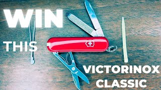 Win this Victorinox Classic  Review  Giveaway  UK legal knife  EDC knife [upl. by Cela]