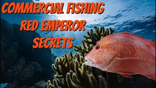 Fishing for RED EMPEROR  tips and tricks from an ex PRO fisherman [upl. by Marten]