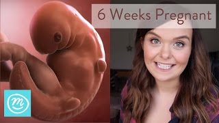 6 Weeks Pregnant What You Need To Know  Channel Mum [upl. by Aisayt]