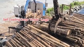 Port of Wismar Germany Self Discharging Cargo Timber Logs [upl. by Amati988]