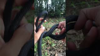 Incredible Double Figure 8 Knot knot knotskill climbing [upl. by Kcired]