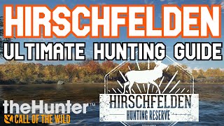 Hirschfelden Ultimate Hunting Guide  theHunter Call of the Wild [upl. by Andromache]