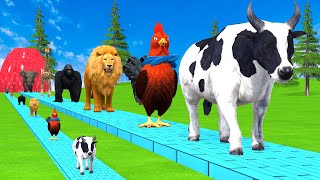 Paint amp Animals CowGorillaElephantGiraffeTigerLion Fountain Crossing Transformation Cartoon [upl. by Yrffoeg]