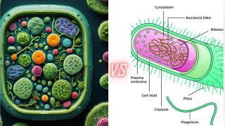 different between prokaryotic and eukaryotic cell class 9th [upl. by Leanard]