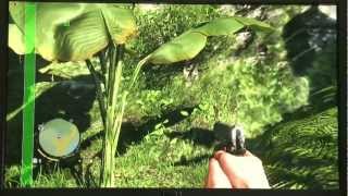 Far Cry 3 Mikroruckeln mit SLI [upl. by Crellen556]