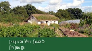 Lammas Ecovillage 5 years On  Living in the FutureEcovillages 55 [upl. by Tegdirb693]