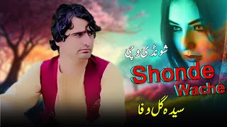 Shonde Wache  Saida Gul Wafa Pashto New Song 2024  Pashto Hit Songs 2024 [upl. by Ytiak]