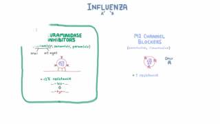 Influenza Treatment  Medications and Criteria for Treatment [upl. by Yeoz]