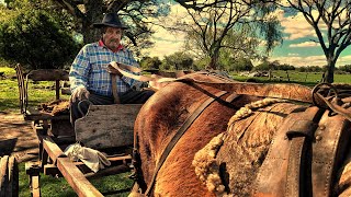 Dos GAUCHOS reales SOLOS y ESCONDIDOS en el MONTE  Viven a la ANTIGUA y hacen sus mandados en SULKI [upl. by Akcimehs]