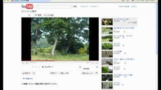 YouTube動画のダウンロード（Area61downloaderの利用） [upl. by Nido780]