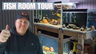 FISH ROOM TOUR  September 2023 [upl. by Accebber]