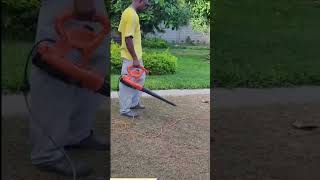 Bermuda lawn scalping [upl. by Oxford]